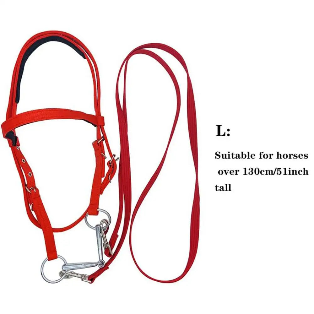 Horse Bridle Adjustable Snaffle Noseband Nylon Equine Noseband Reins for Women Men Soft Lined Trail Riding Equestrian Supplies