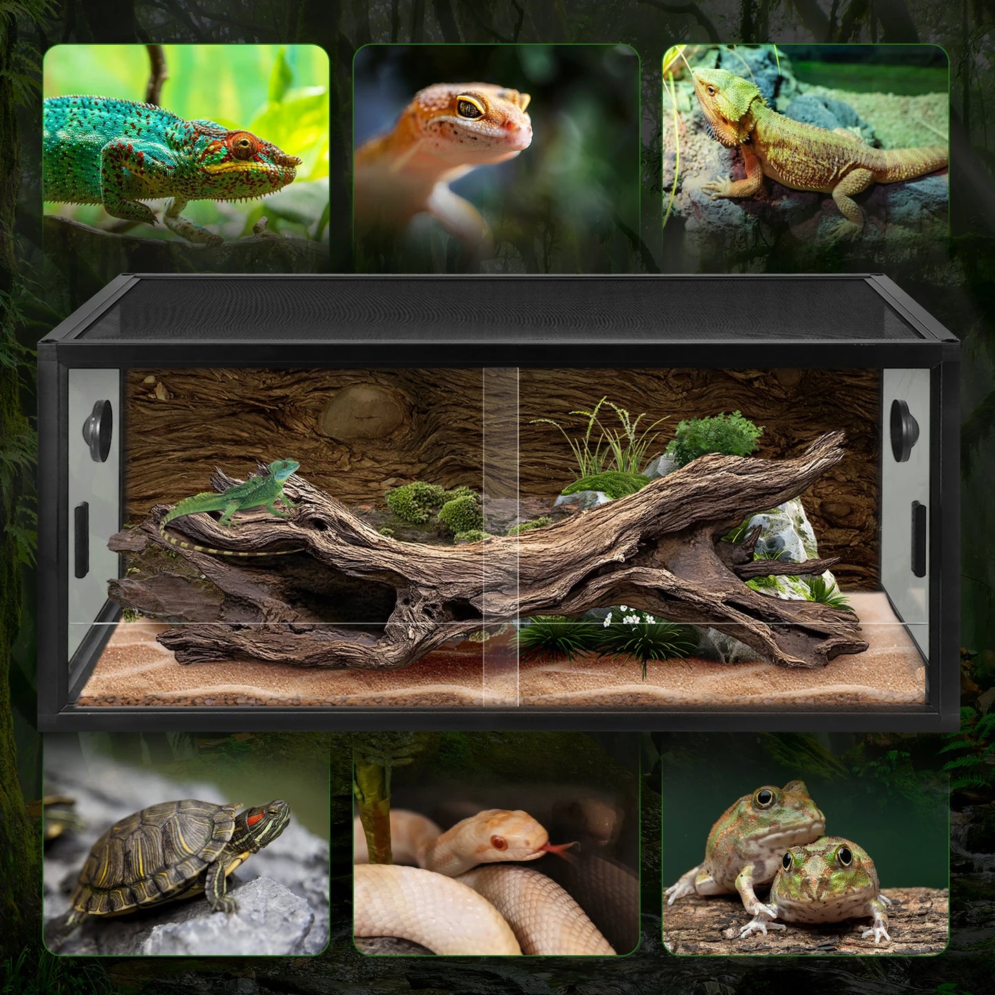 Reptile Breeding Box Detachable Plant Gecko Ecological Tank Front Opening Detachable Reptile Terrarium for Snake Lizard Breeding