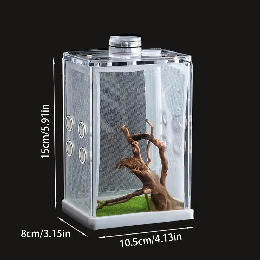 Reptile Hatching Box Reptile Terrariums Enclosure Accessories Amphibian Supplies Feeding Spider Cage Feeding Container For