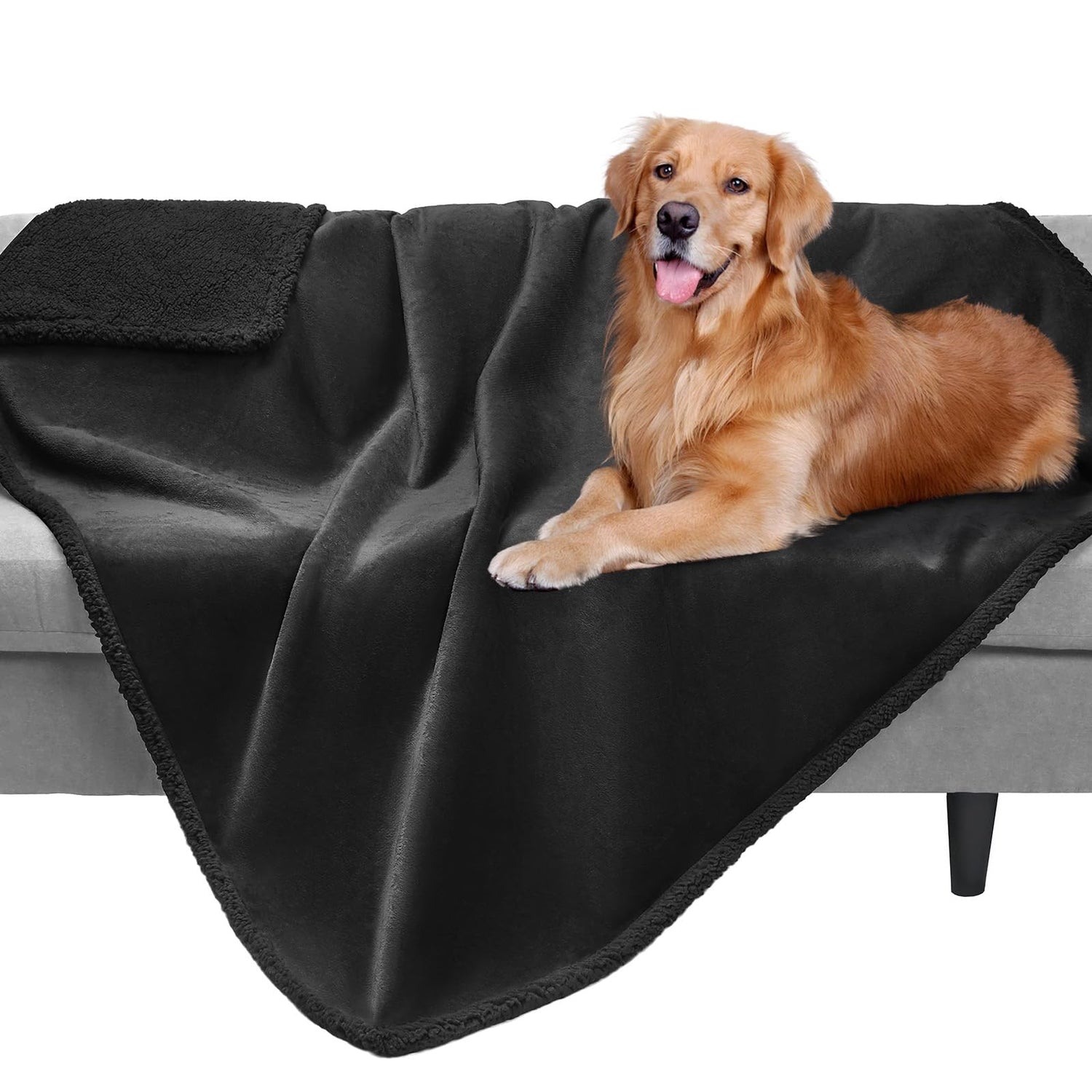 Dog Blankets