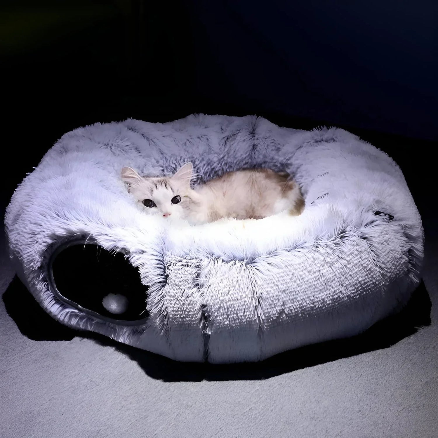 Cat Beds