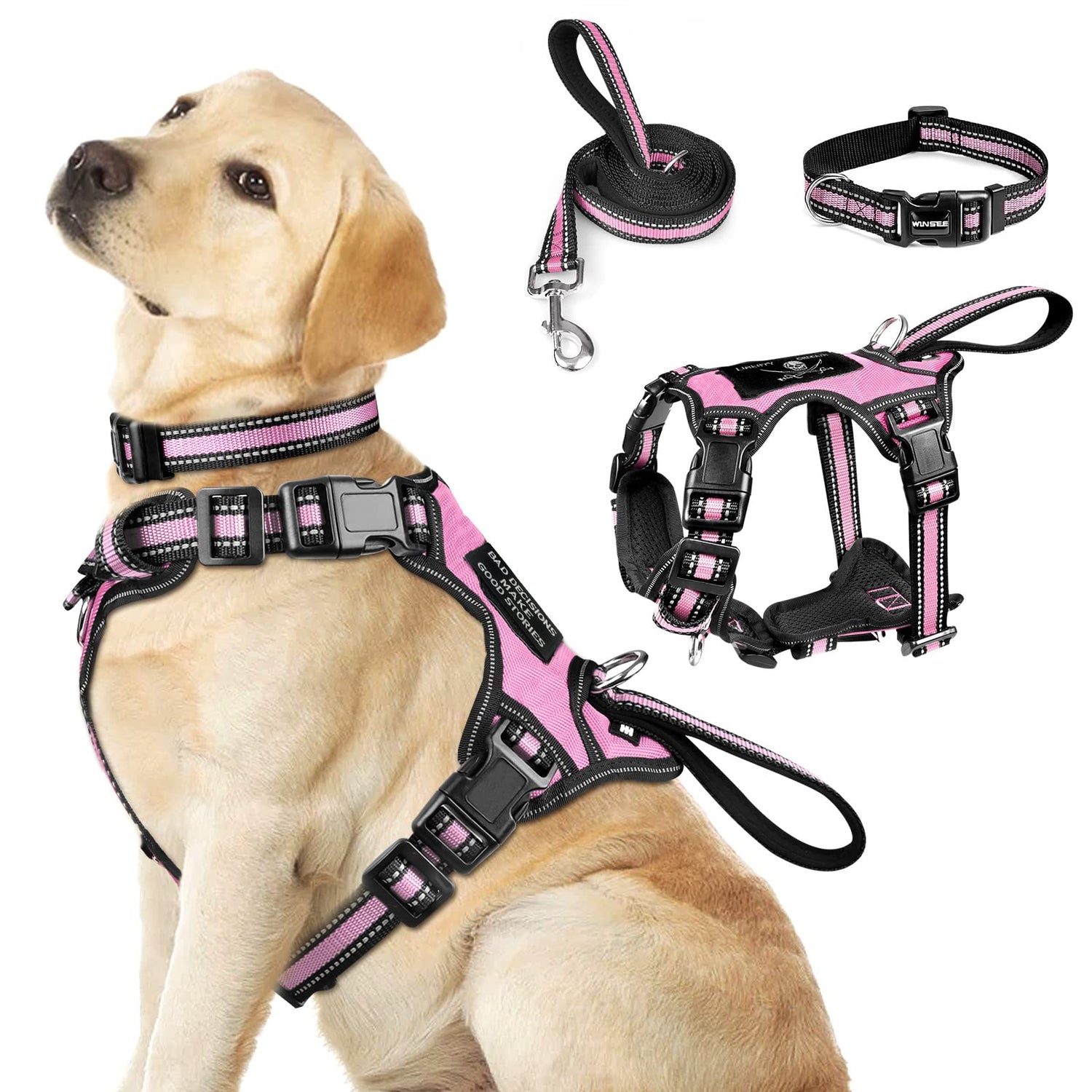 Dog Collars/Leashes