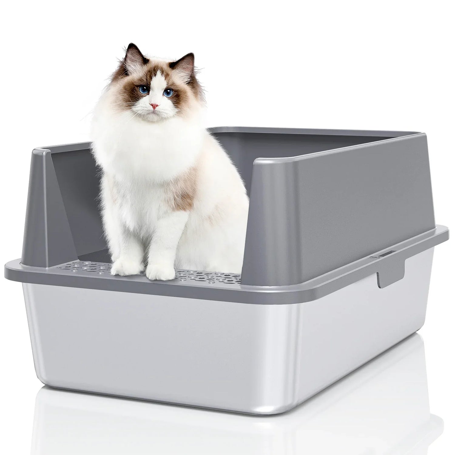 Litter Boxes
