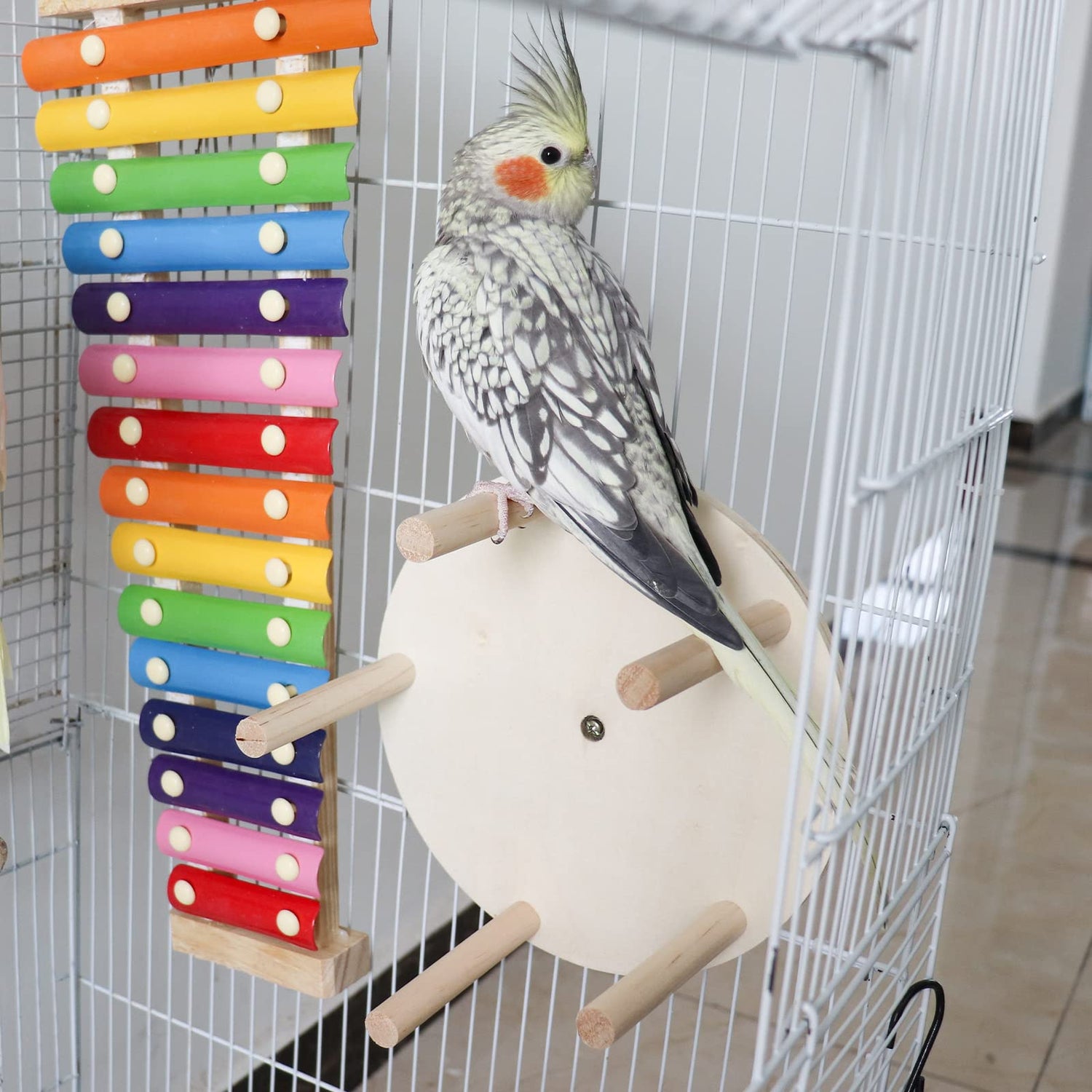 bird toys