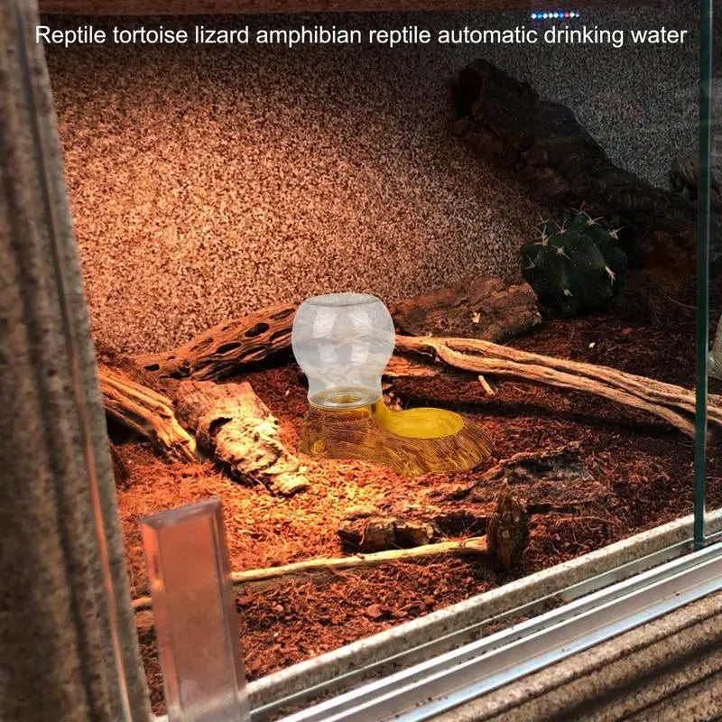 Amphibious Reptile Feeder Spider Bird Plastic Reptile Feeding Basin Turtle Lizard Reptile Bowl Turtle Water Dispenser