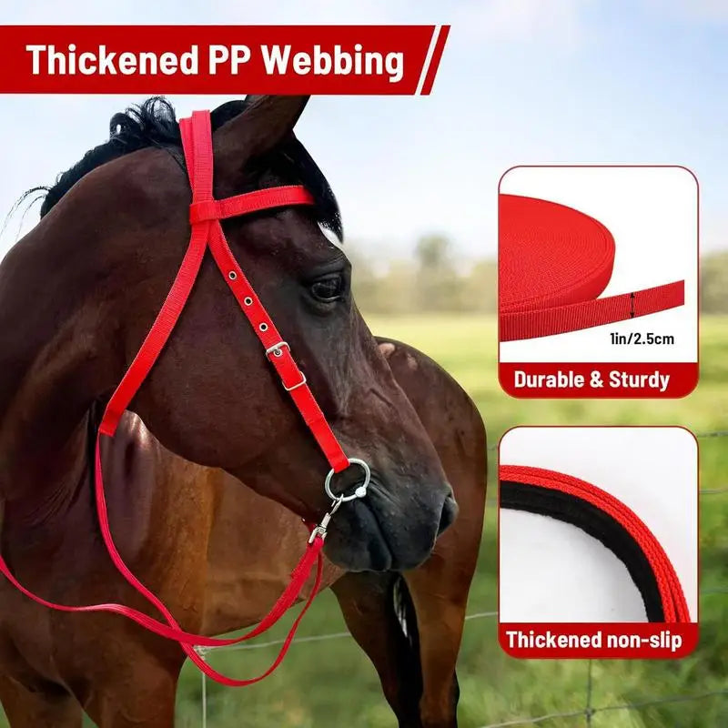 Horse Bridle Adjustable Snaffle Noseband Nylon Equine Noseband Reins for Women Men Soft Lined Trail Riding Equestrian Supplies