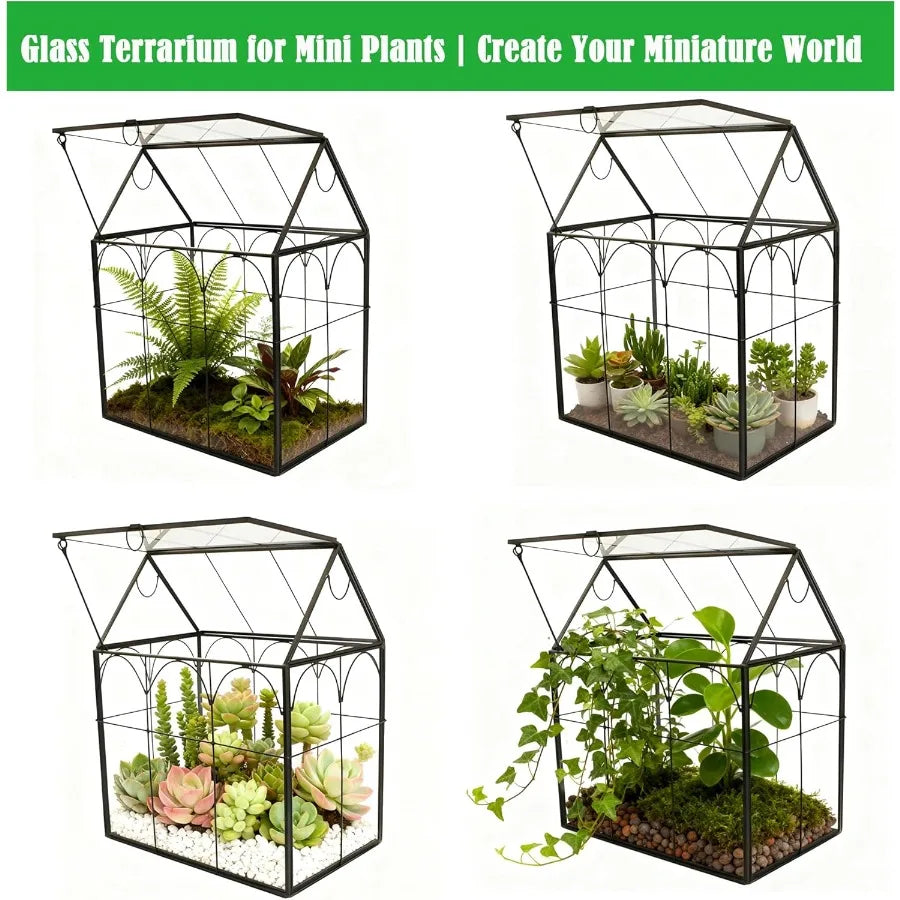 Glass Geometric Plant Terrarium for Succulent and Air Plants Indoor Home Garden and Office Decoration Modern Black House Design