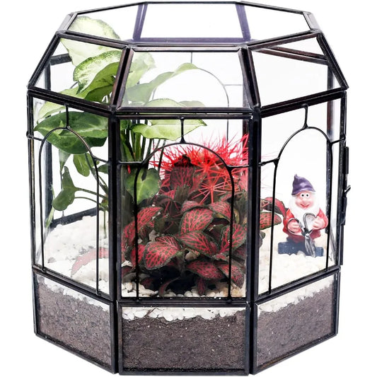 Handcrafted Large Glass Terrarium as a Stunning Indoor Centerpiece for Succulents Cacti Air Plants and Miniature Fairy Gardens