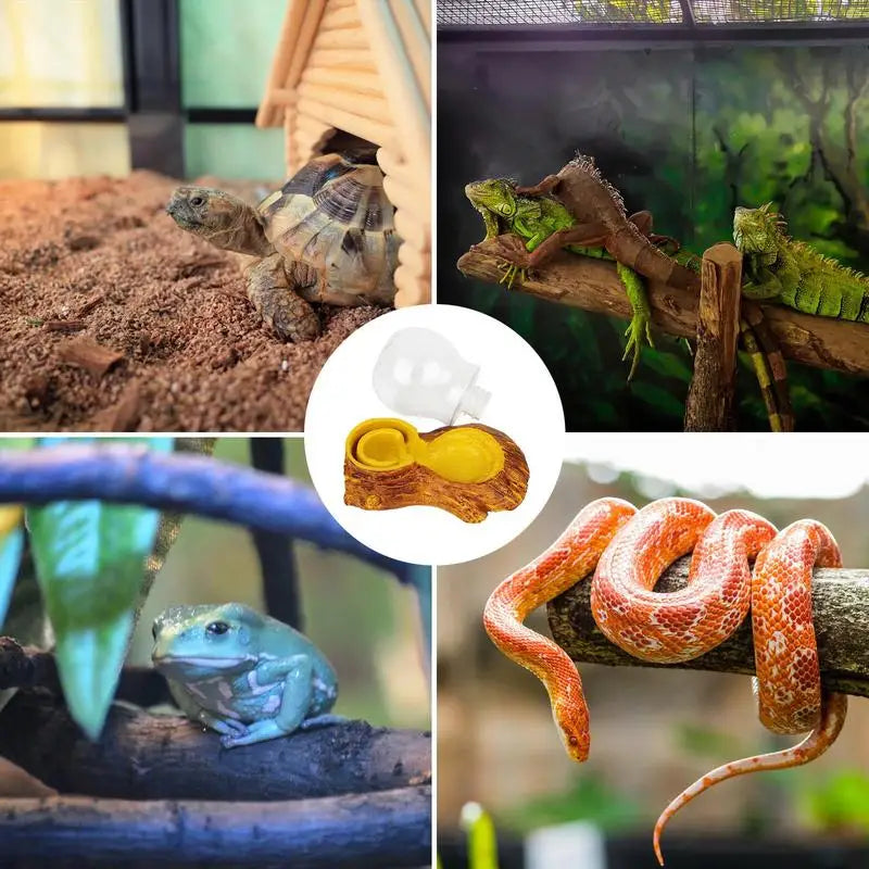 Amphibious Reptile Feeder Spider Bird Plastic Reptile Feeding Basin Turtle Lizard Reptile Bowl Turtle Water Dispenser