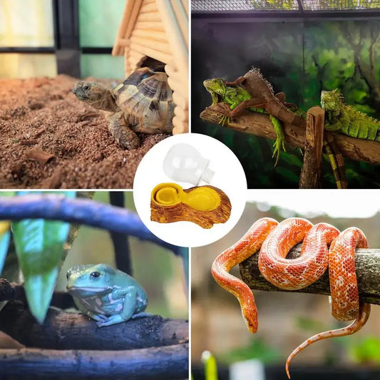 Amphibious Reptile Feeder Spider Bird Plastic Reptile Feeding Basin Turtle Lizard Reptile Bowl Turtle Water Dispenser