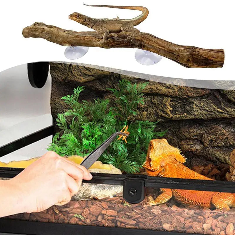 Reptile Branch Unique Terrarium Branches Climbing Accessories Natural Snake Tank Decor Reptile Decor Habitat Decorations