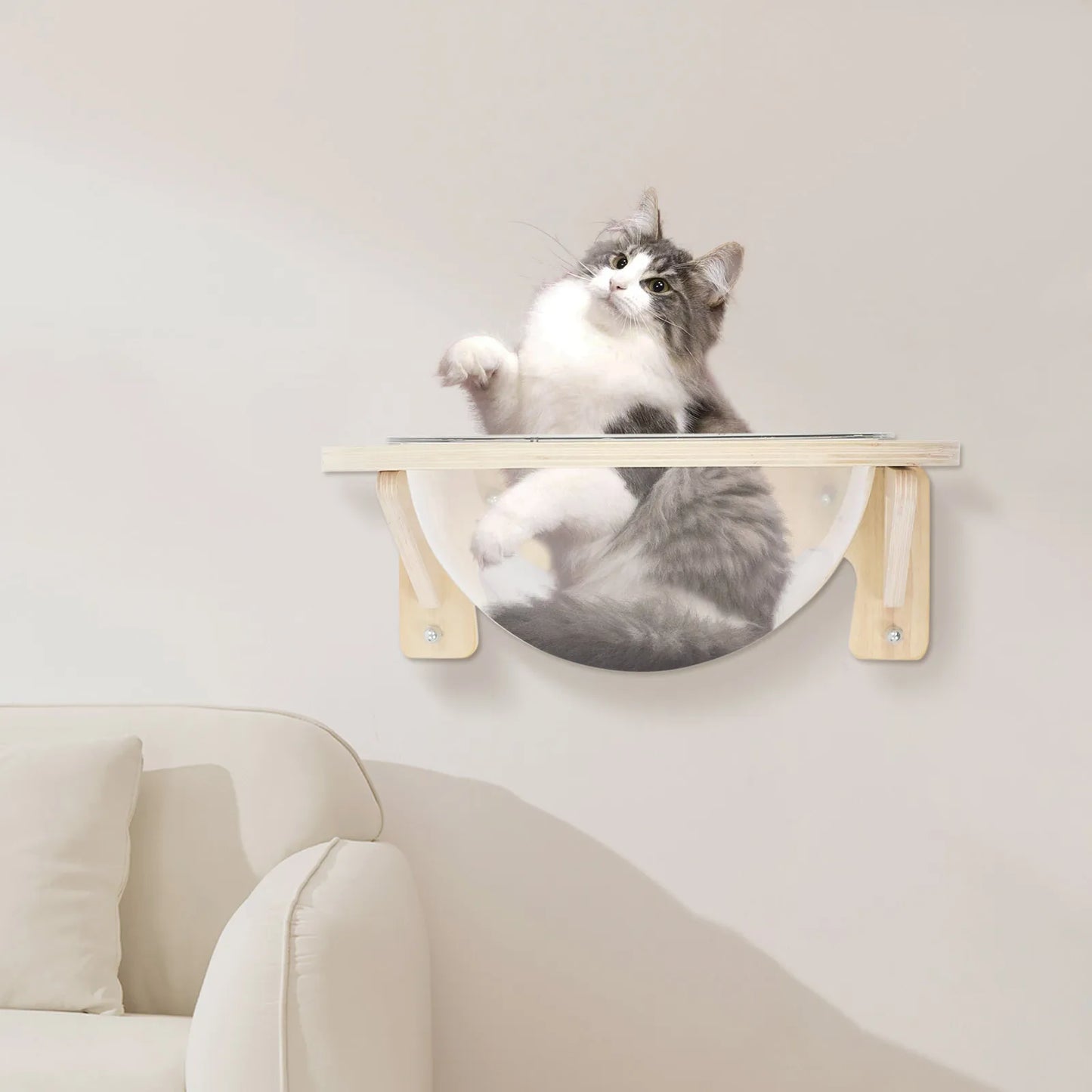Modern Wall Mounted Cat Bubble Bed, Transparent Cat Capsule Pod, Clear Window Cat Hammock, Cozy Hanging Pet Bed for Indoor Cats