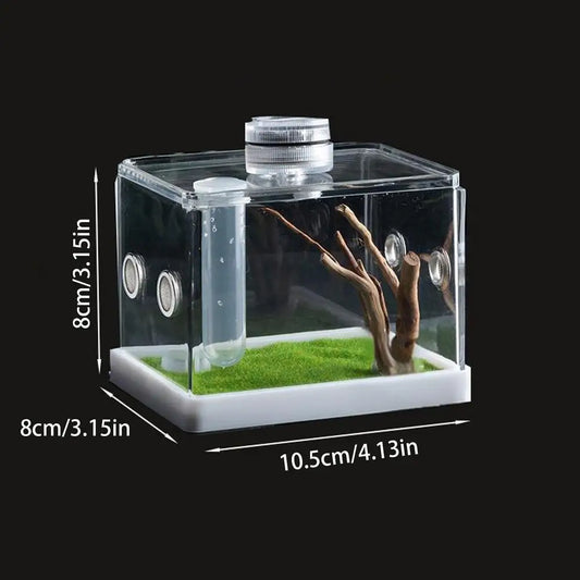 Reptile Hatching Box Reptile Terrariums Enclosure Accessories Amphibian Supplies Feeding Spider Cage Feeding Container For