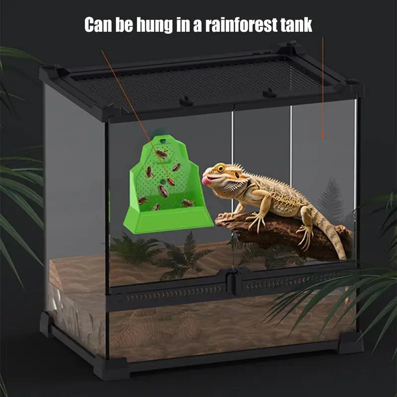 Reptile Feeder Gecko Food Feeding Dish Tank Accessories Anti-Escape Hunting Bowl For Chameleon Frog Snake Spider Amphibian