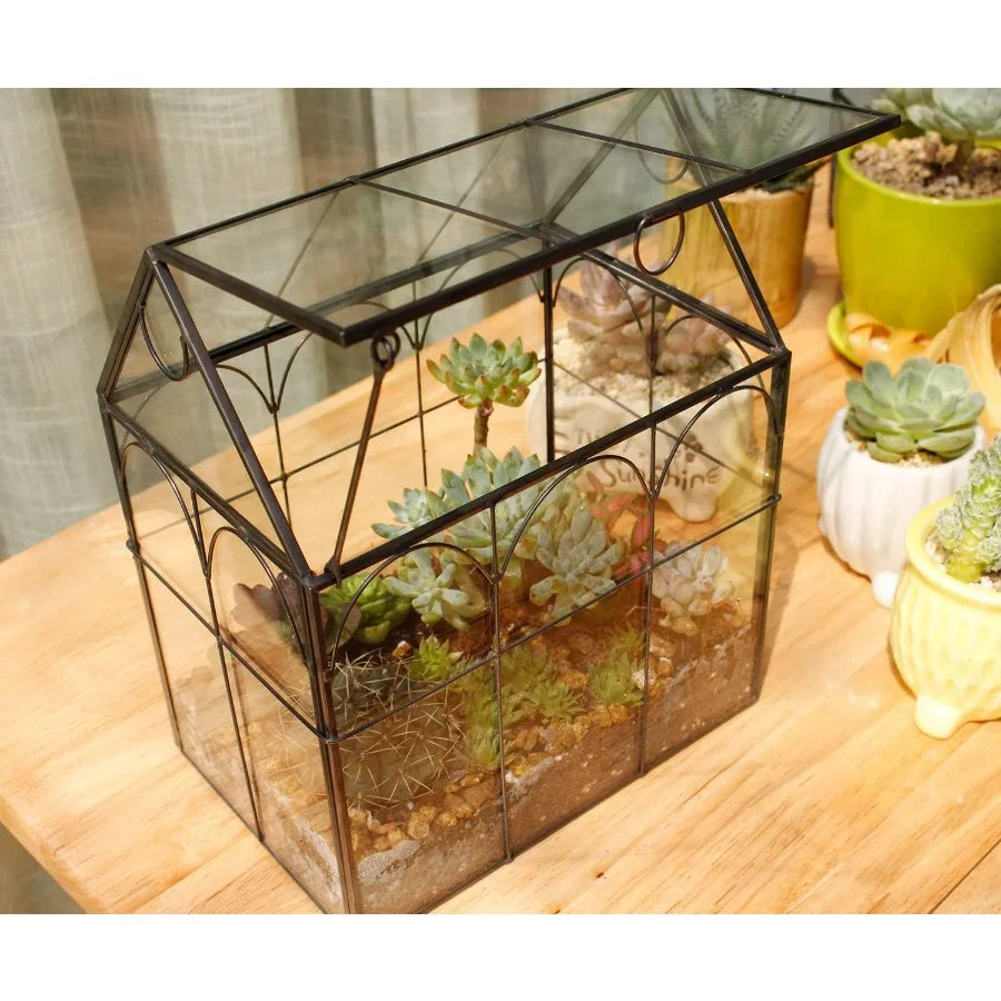 Glass Geometric Plant Terrarium for Succulent and Air Plants Indoor Home Garden and Office Decoration Modern Black House Design