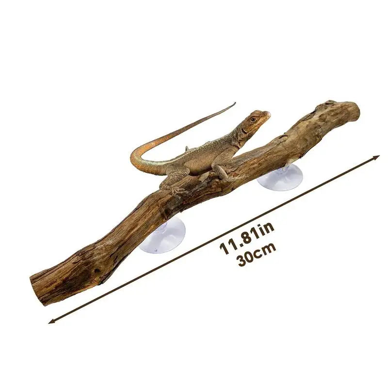 Reptile Branch Unique Terrarium Branches Climbing Accessories Natural Snake Tank Decor Reptile Decor Habitat Decorations