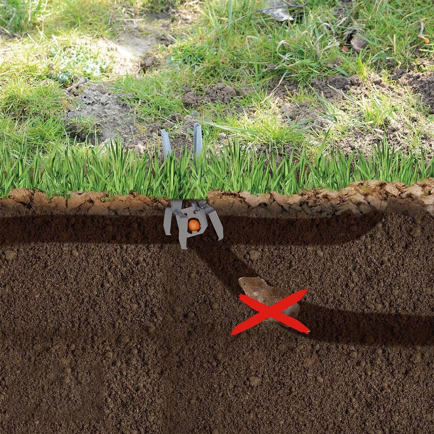 Mole Eliminator Trap Alvanized Steel Mole Trap Pest Control Metal Scissor Clip