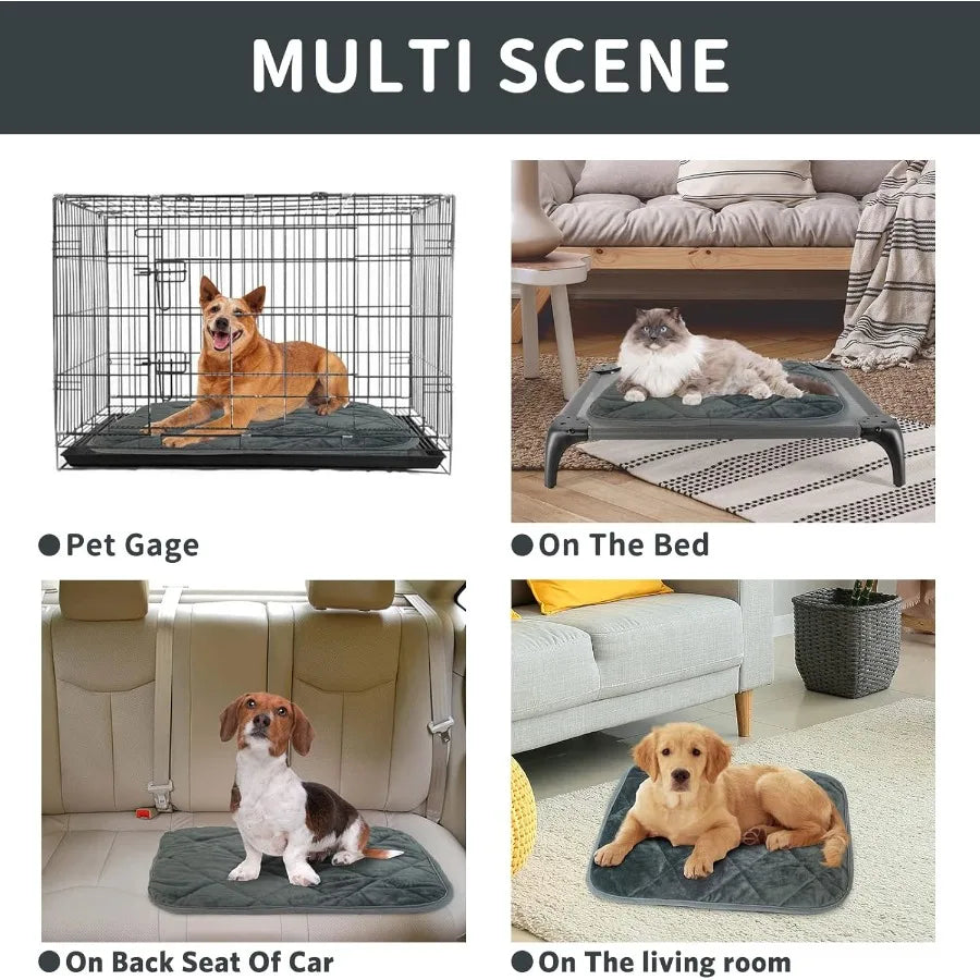 Self-Warming Cat Bed for Indoor and Outdoor Use: Ultra Soft Self-Heating Pet Mat with Washable Thermal Pad Ideal for Cats and D