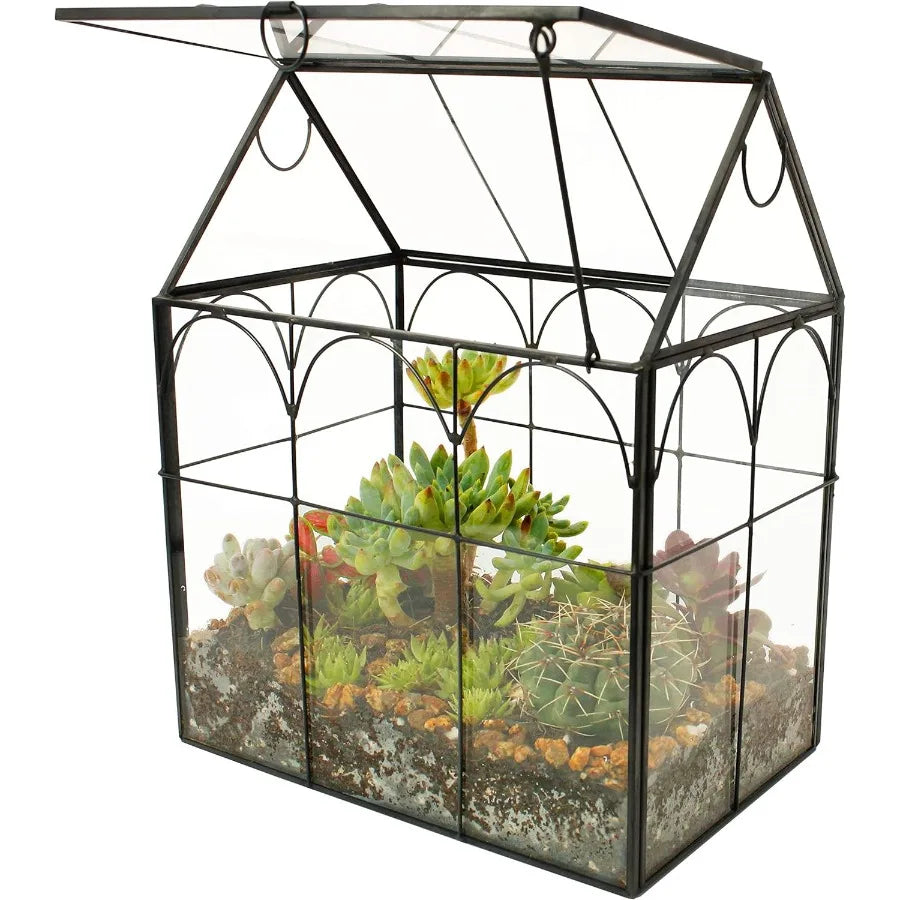 Glass Geometric Plant Terrarium for Succulent and Air Plants Indoor Home Garden and Office Decoration Modern Black House Design