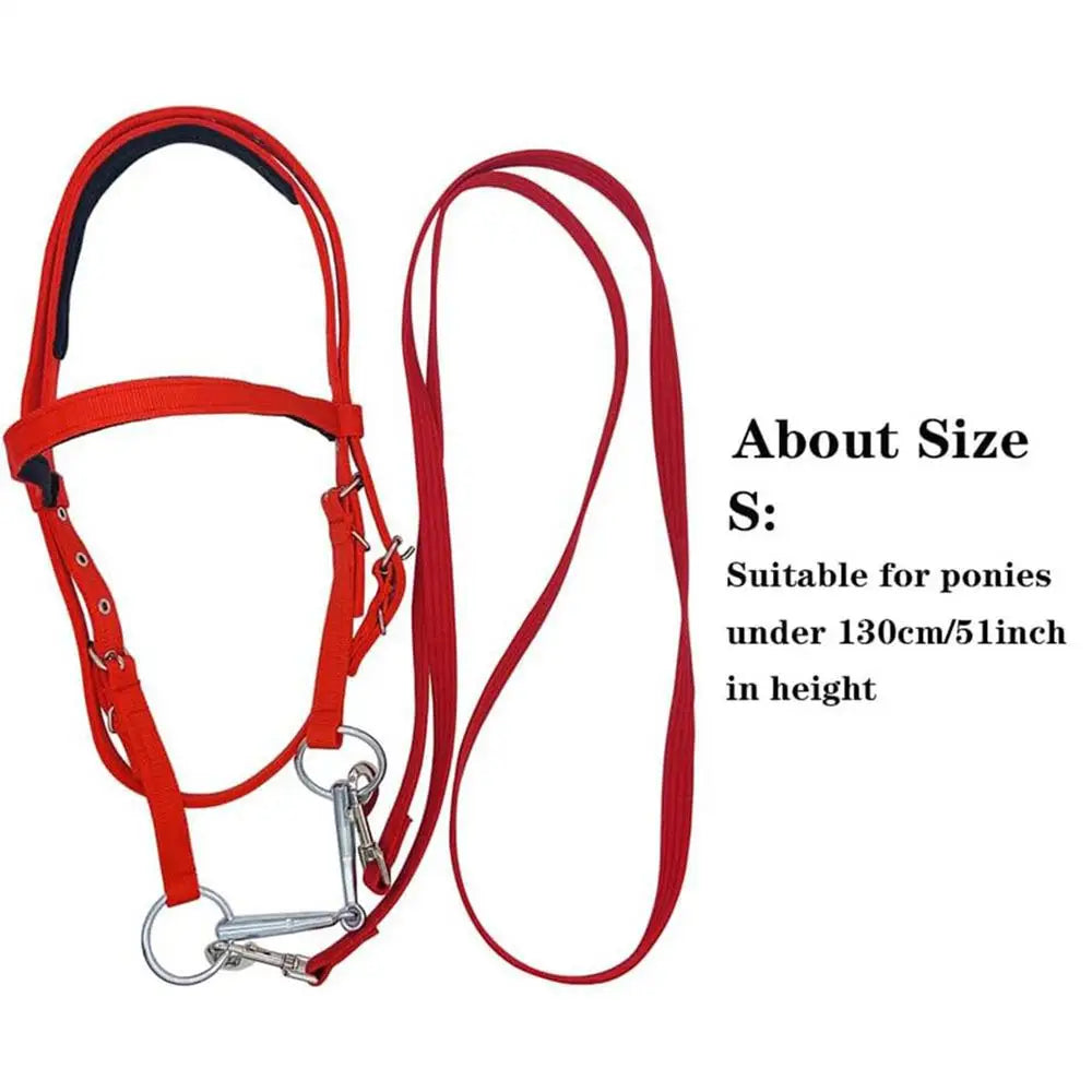 Horse Bridle Adjustable Snaffle Noseband Nylon Equine Noseband Reins for Women Men Soft Lined Trail Riding Equestrian Supplies