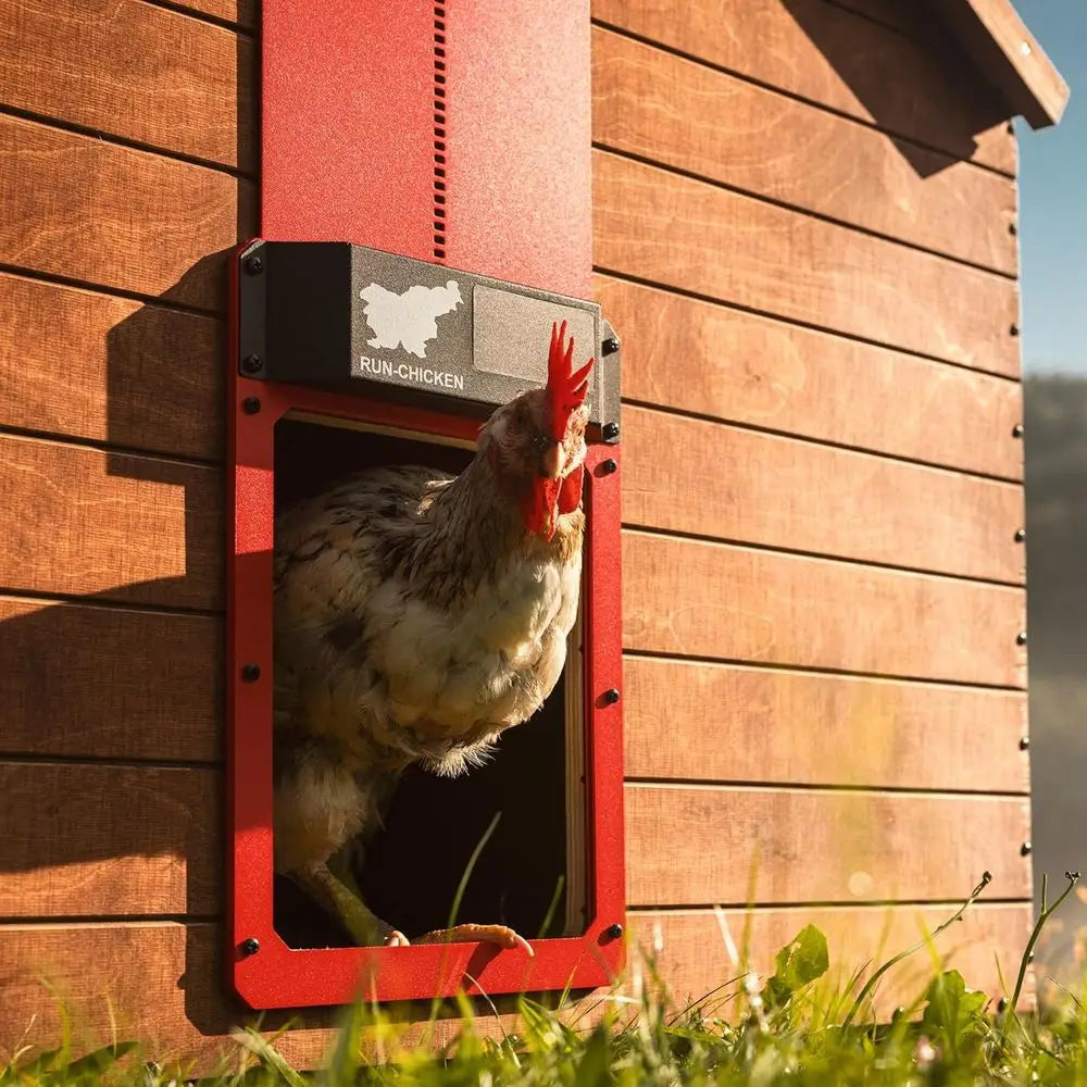 Door Eternal – Solar Automatic Chicken Coop Door with Built-in Solar Power & Battery Backup, Smart App & Timer Control, Weatherp