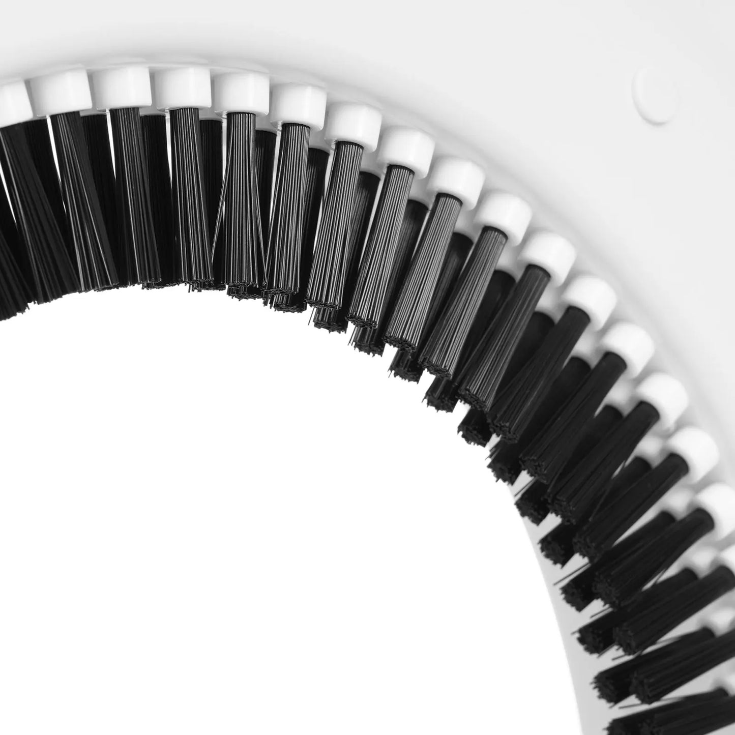 Cat Door, Pet Window, Acrylic Dome, White Brushed Flap for Large Cats, Easy Install Pet Passage, Home Interior Door