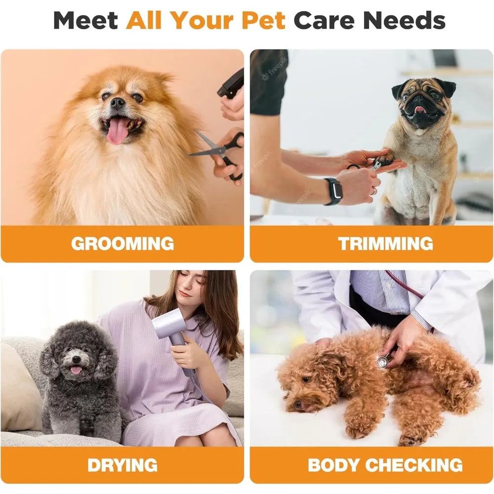 Electric Lift Dog Grooming Table, Portable Height Adjustable Pet Grooming Station with Foldable Arm, Tool Organizer