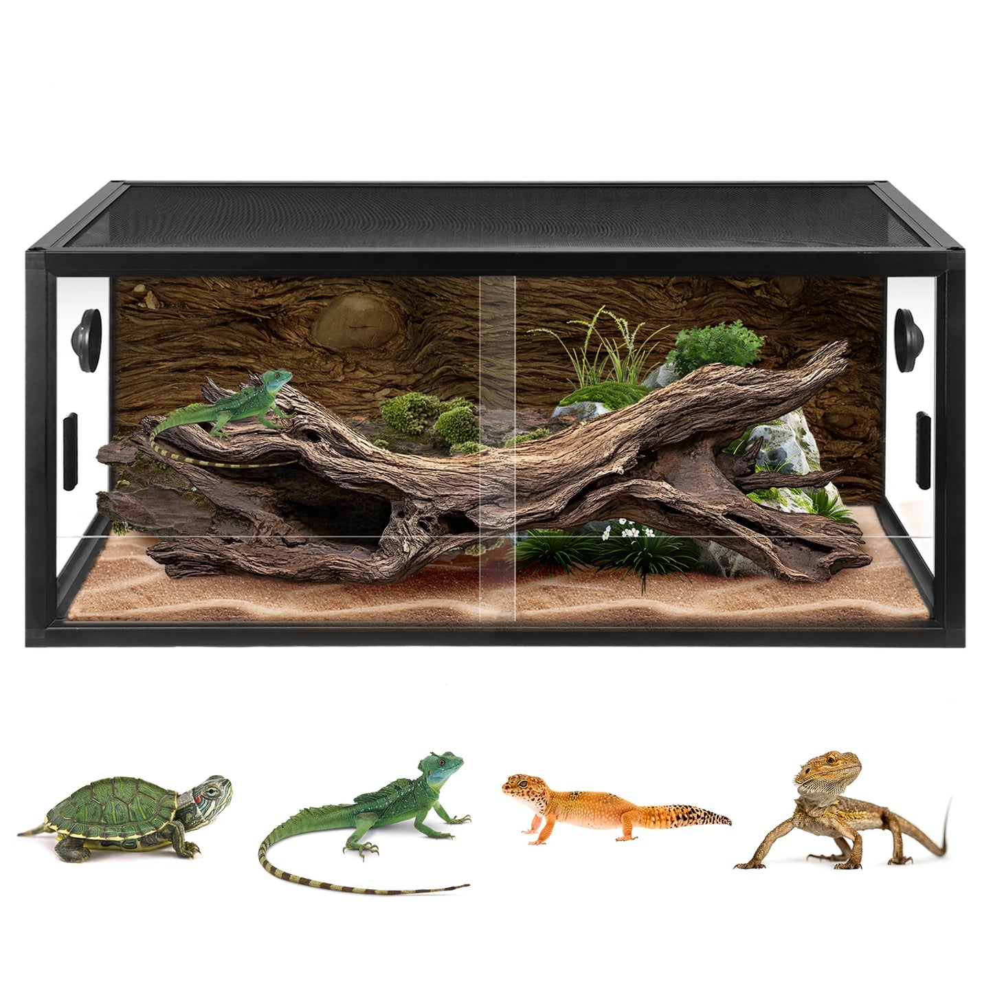 Reptile Tank Terrarium Glass Enclosure with Sliding Door & Mesh Top Secure Low Stress Habitat for Bearded Dragon Gecko Snake