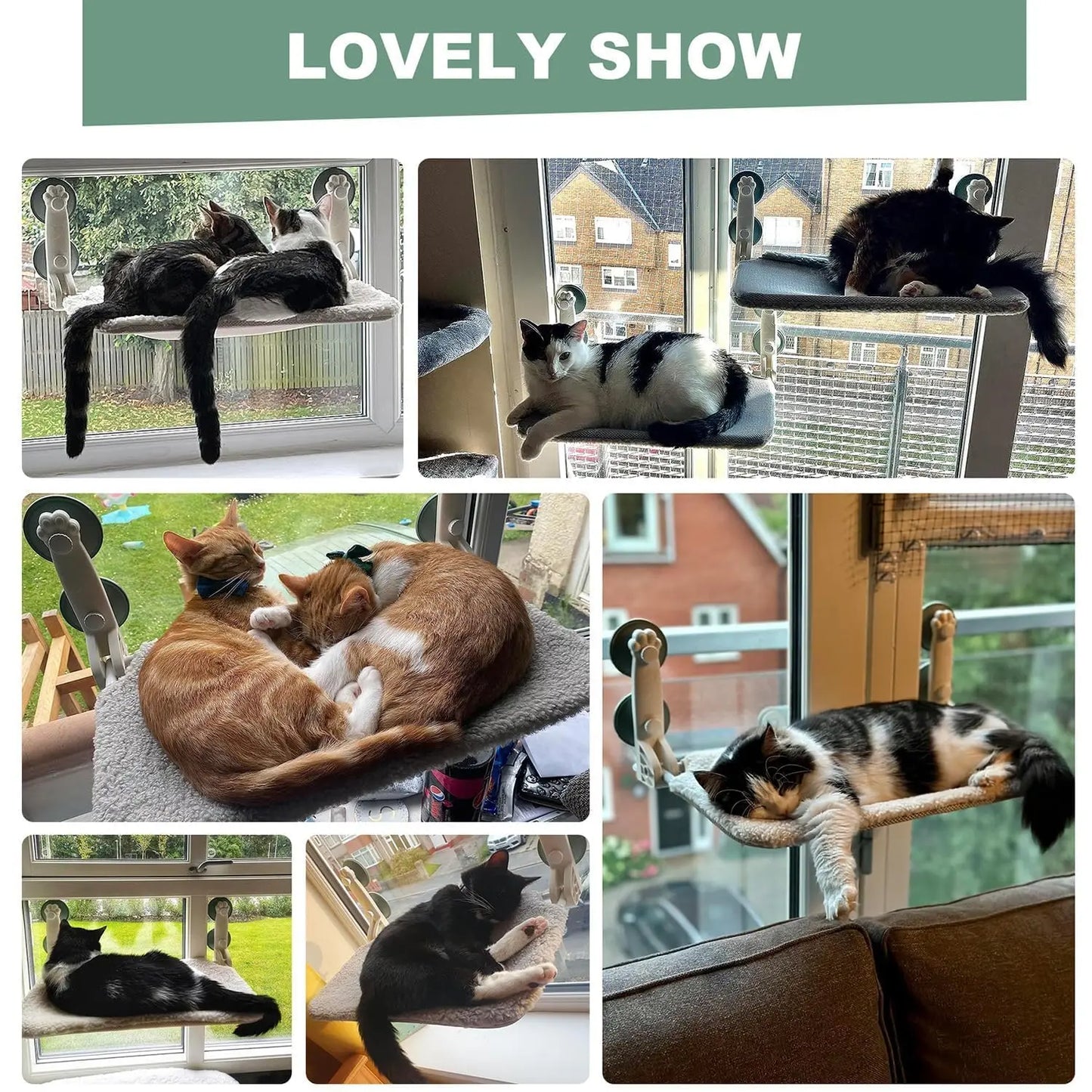 MEWOOFUN Cat Window Hammock Bed for Indoor Cats Foldable Cat Window Perch Bed Upgrade Strong Suction Cups Sturdy Hold up to 18kg