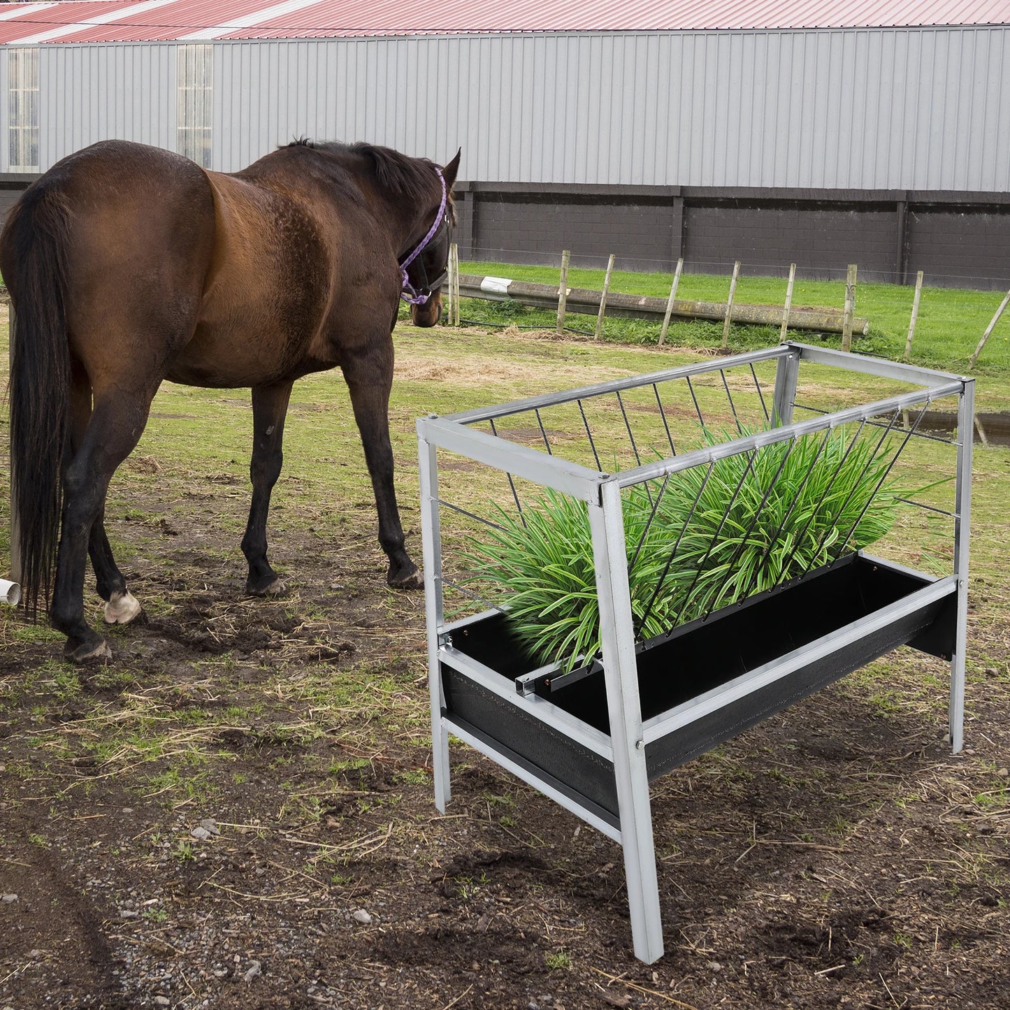 Livestock Feed Iron Trough,Silver+ Black Rectangular 2-in-1 Grain& Hay Feeder ,Floor Standing 100*65*85cm for Goats Sheep