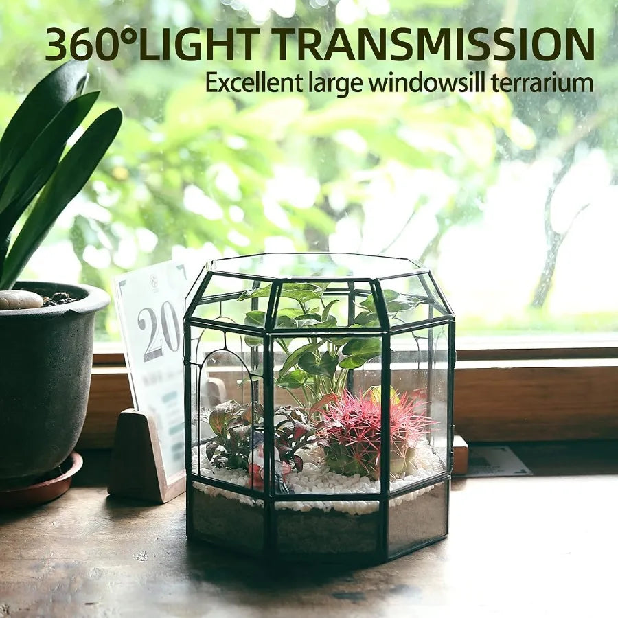 Handcrafted Large Glass Terrarium as a Stunning Indoor Centerpiece for Succulents Cacti Air Plants and Miniature Fairy Gardens