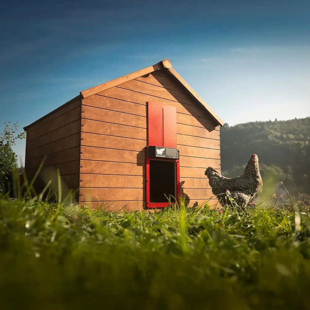 Door Eternal – Solar Automatic Chicken Coop Door with Built-in Solar Power & Battery Backup, Smart App & Timer Control, Weatherp