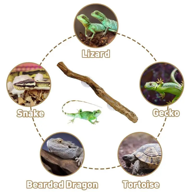 Reptile Branch Unique Terrarium Branches Climbing Accessories Natural Snake Tank Decor Reptile Decor Habitat Decorations