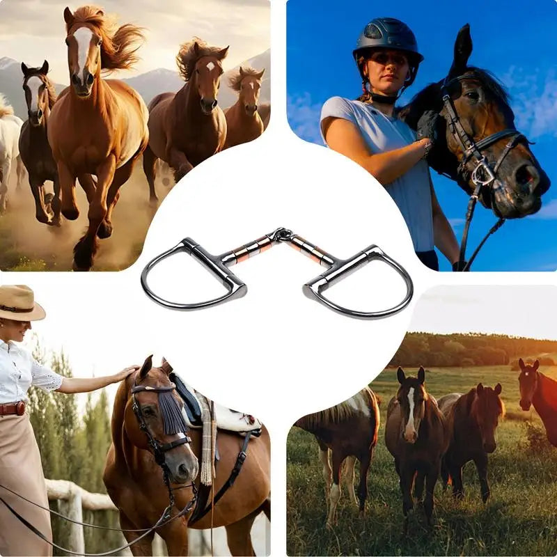 D Ring Horse Bit Horse Mouth Bit With Copper Roller Mouth D-Ring Snaffle Bits Single Joint Horse Bit Professional Ring Snaffle