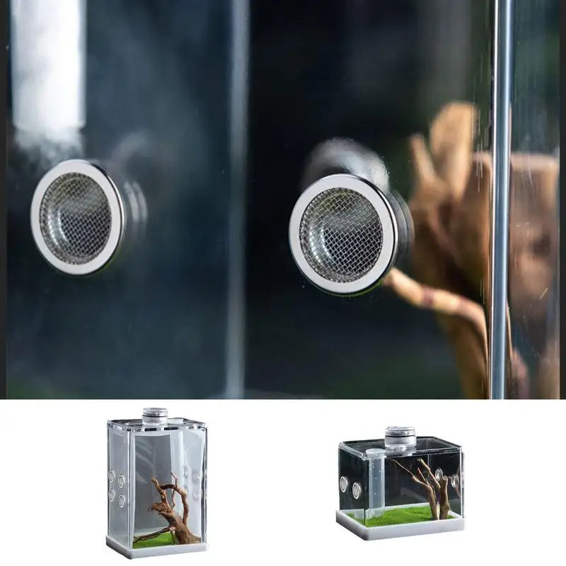 Reptile Hatching Box Reptile Terrariums Enclosure Accessories Amphibian Supplies Feeding Spider Cage Feeding Container For