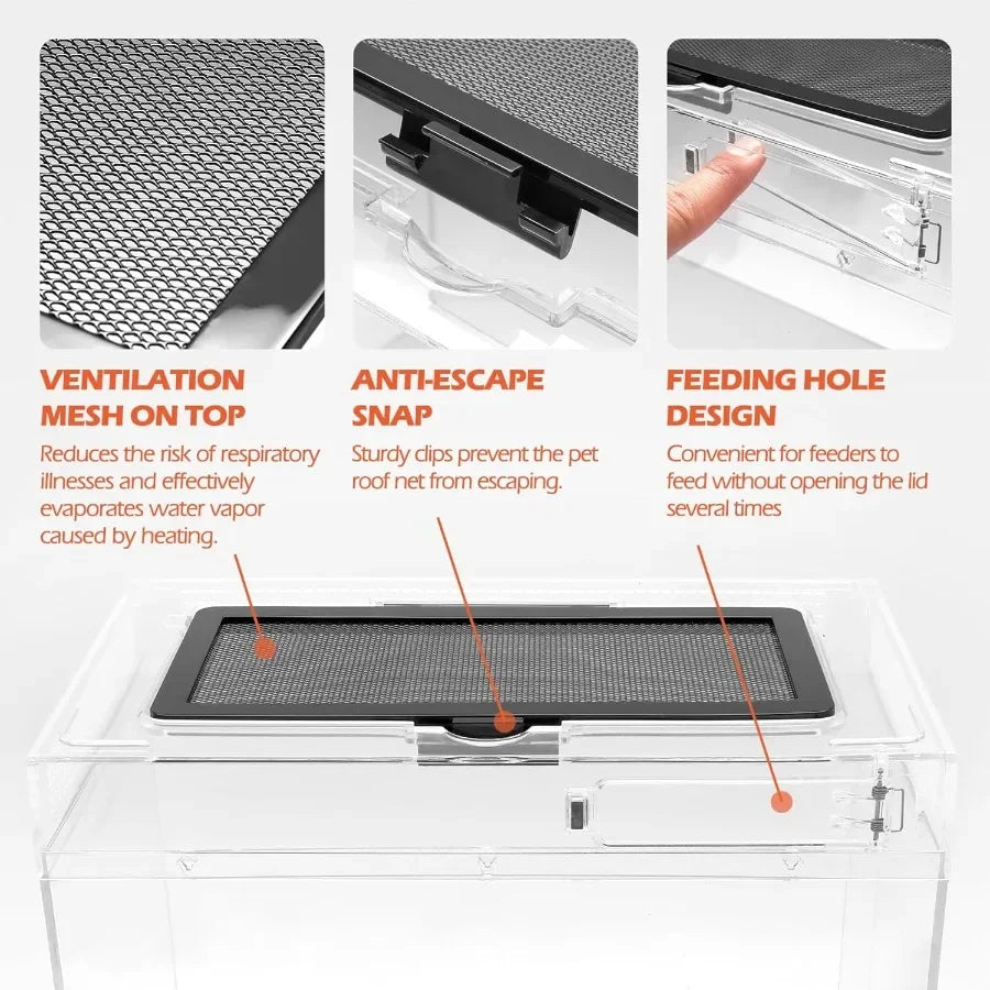 Habitat Terrarium Enclosure for Small Reptiles and Amphibians with Builtin Heat Lamp Hide Cave Bearded Dragon Hammock Ideal for