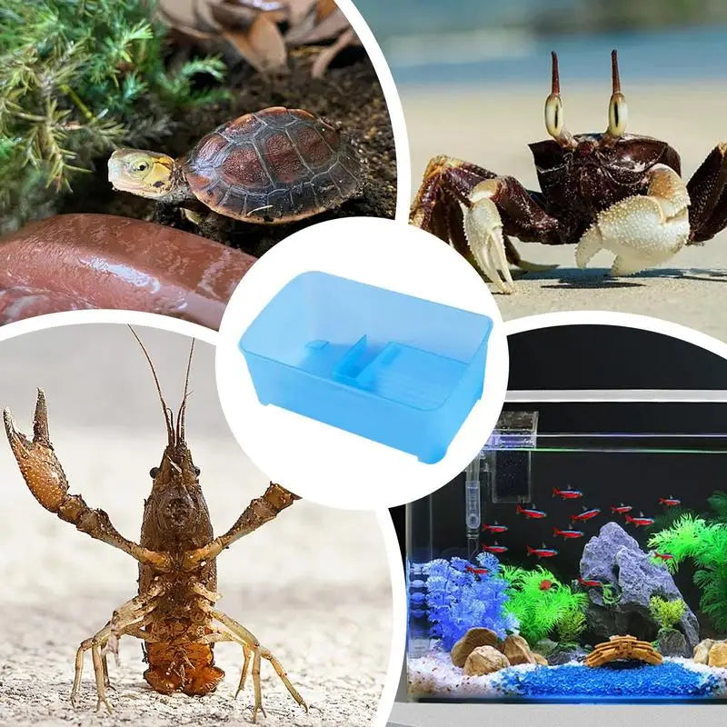 Deepened Turtle Tank Starter Kit Reptile Terrarium Basking Platforms for Aquatic Turtles 5 Multi-Functional Turtle Aquarium Kit