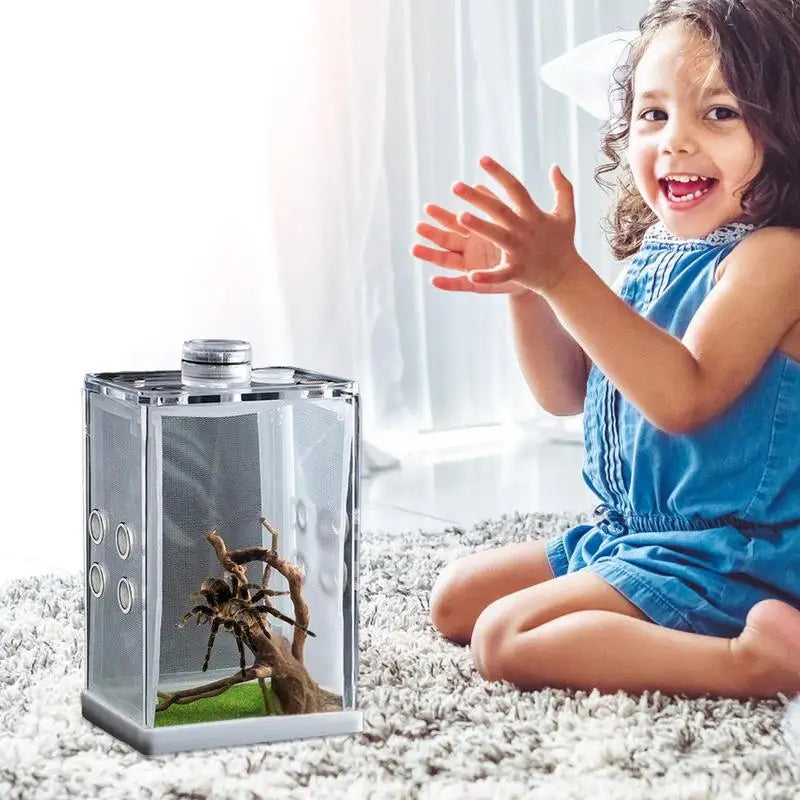 Reptile Hatching Box Reptile Terrariums Enclosure Accessories Amphibian Supplies Feeding Spider Cage Feeding Container For