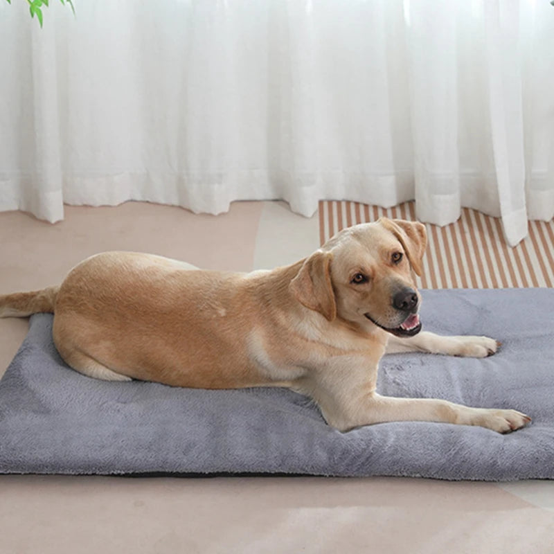 Dog Bed Short Plush Pet Heated Sleeping Mat Cats And Dogs Cute Pet Mat Blanket Thickened Sleeping Mat Small Large Dog Pet Suppli