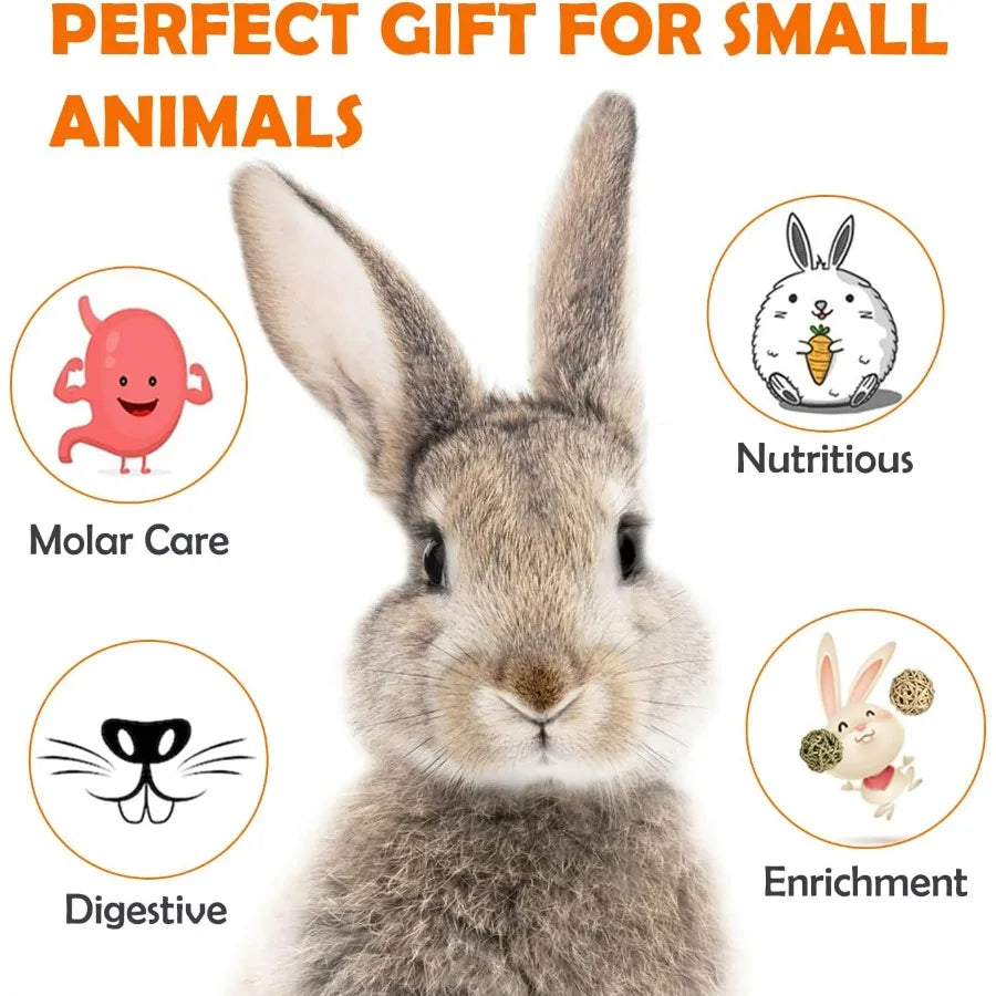 32Pcs Timothy Hay Sticks 320g for Rabbit Guinea Pig Hamster Natural Handmade Treats and Chews for Teeth Maintenance and Enrichm