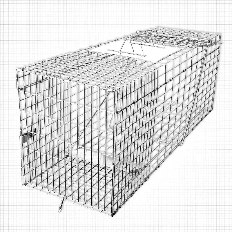 32" Heavy Duty Folding Animal Trap - Humane Catch & Release for Raccoons/Stray Cats/Squirrels