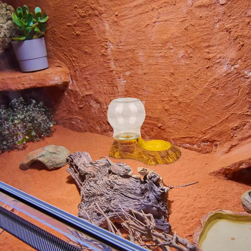 Amphibious Reptile Feeder Spider Bird Plastic Reptile Feeding Basin Turtle Lizard Reptile Bowl Turtle Water Dispenser