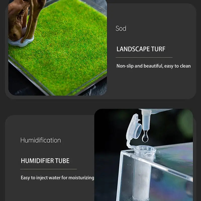 Reptile Hatching Box Reptile Terrariums Enclosure Accessories Amphibian Supplies Feeding Spider Cage Feeding Container For