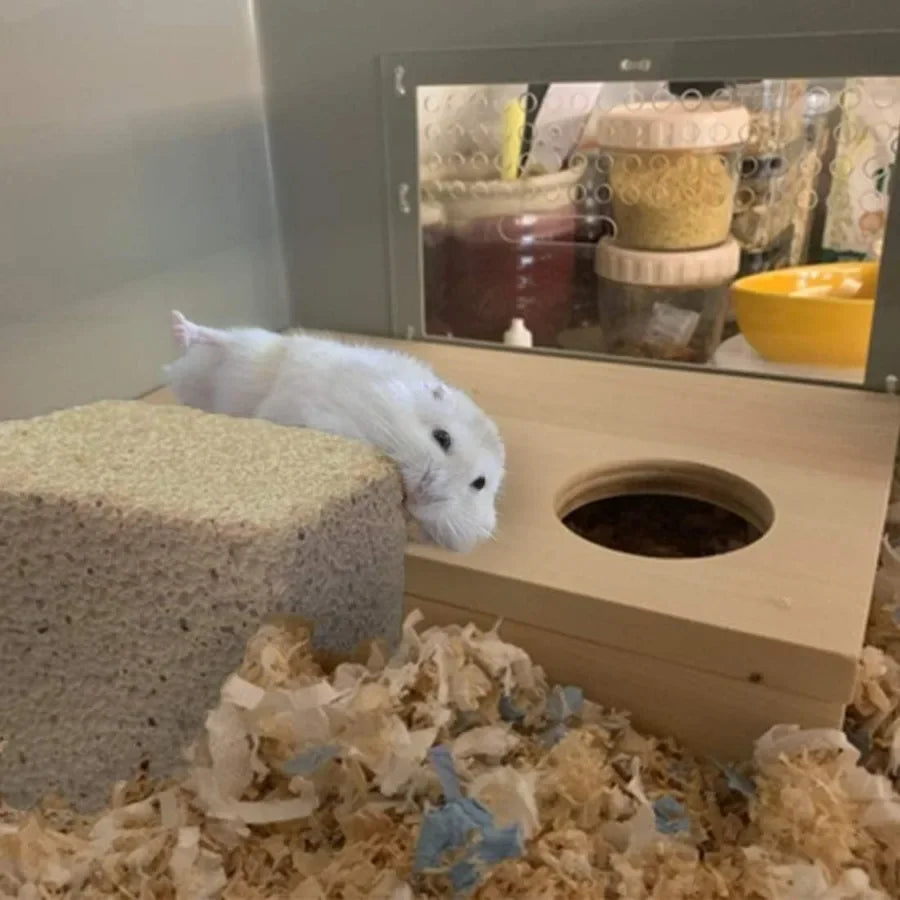 15 Pcs Rabbits Lava Blocks Bunny Teeth Grinding Stone Small Animal Mineral Calcium Stone Chews Toy for Hamsters Chinchillas and