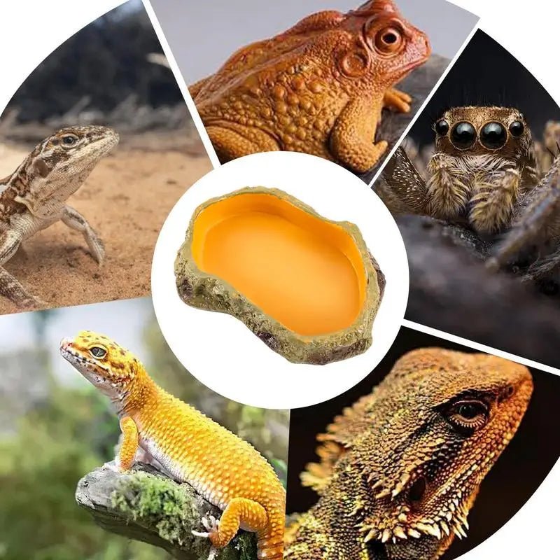 Reptile Water Bowl Reptile Tank Snake Water Basin Dish Snake Feeding Station Reptile Terrarium Bowls Decoration For Tank Tray