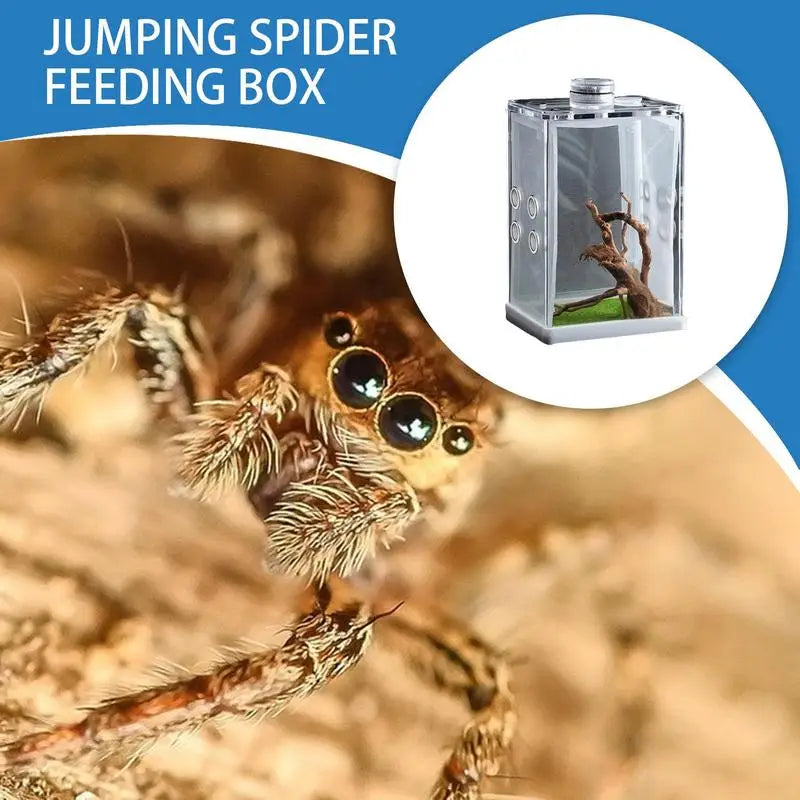 Reptile Hatching Box Reptile Terrariums Enclosure Accessories Amphibian Supplies Feeding Spider Cage Feeding Container For