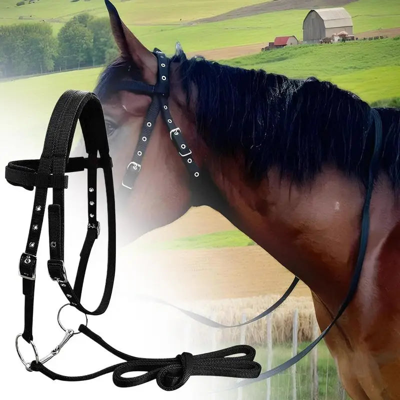 Horse Bridle Headband Chin And Throat Halters For Horses With 3 Adjustable Buckles Equestrian Training Throat And Chin Leading