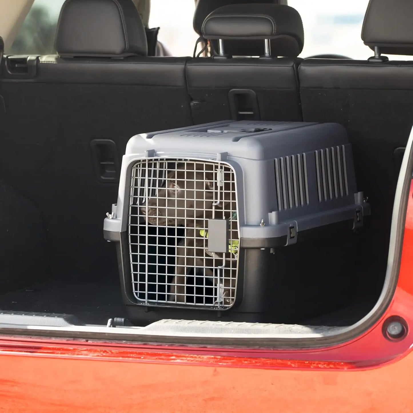 SportPet Designs Airline Approved Kennel, Plastic Travel Crate with Wire Door, Medium