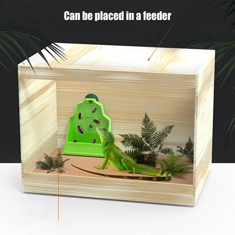 Reptile Feeder Gecko Food Feeding Dish Tank Accessories Anti-Escape Hunting Bowl For Chameleon Frog Snake Spider Amphibian