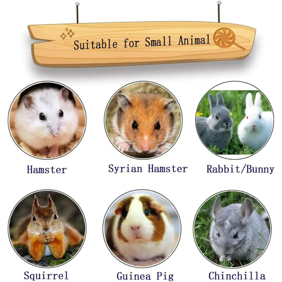 15 Pcs Rabbits Lava Blocks Bunny Teeth Grinding Stone Small Animal Mineral Calcium Stone Chews Toy for Hamsters Chinchillas and